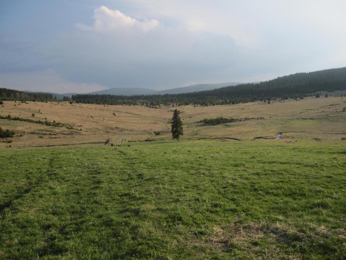Penzion Alfa Железна-Руда Экстерьер фото